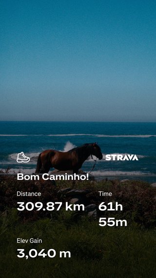 Bom Caminho!